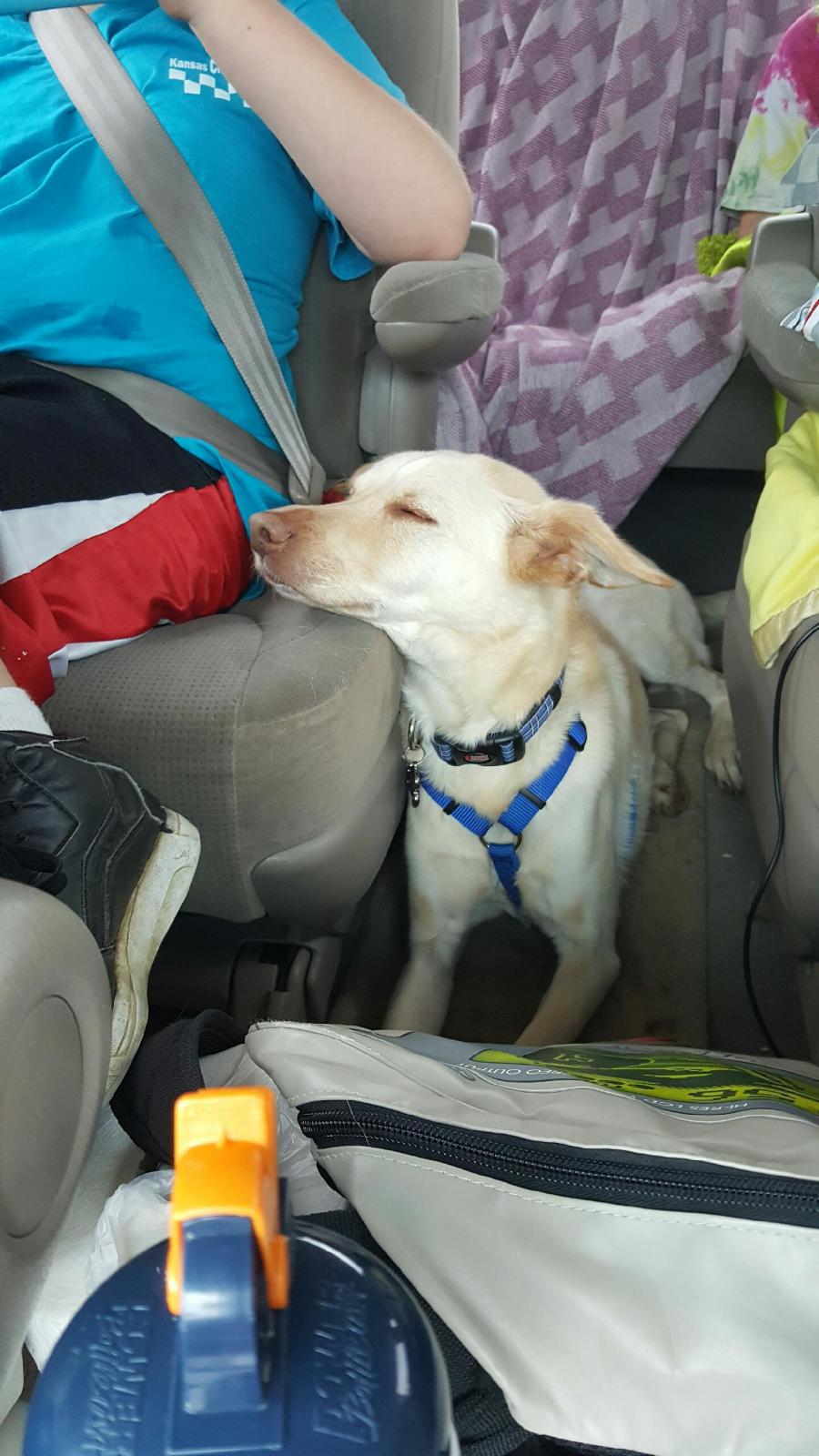 Official Campaign Announcement: Family&nbsp;Emergency