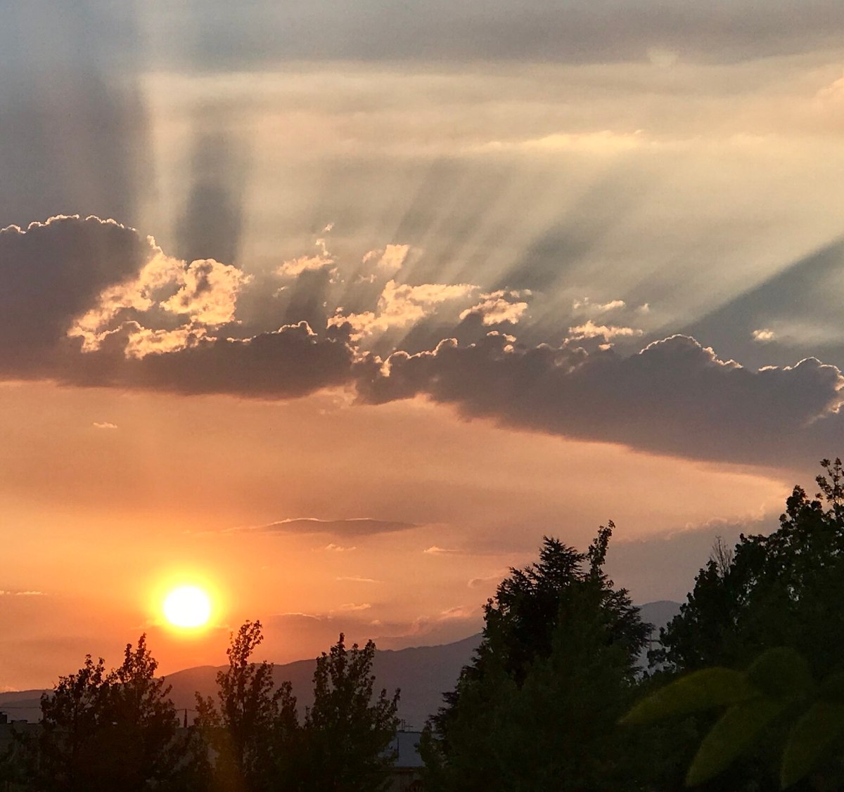 For Those Yet to&nbsp;Come